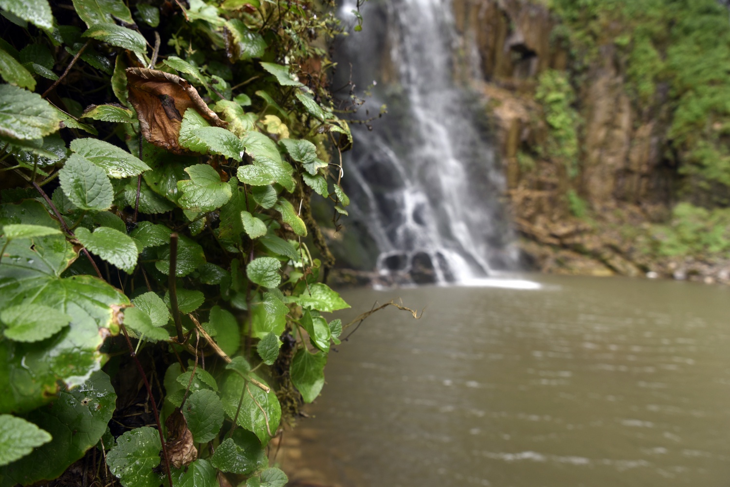 Çağlayandibi Şelalesi ilgi çekiyor 9