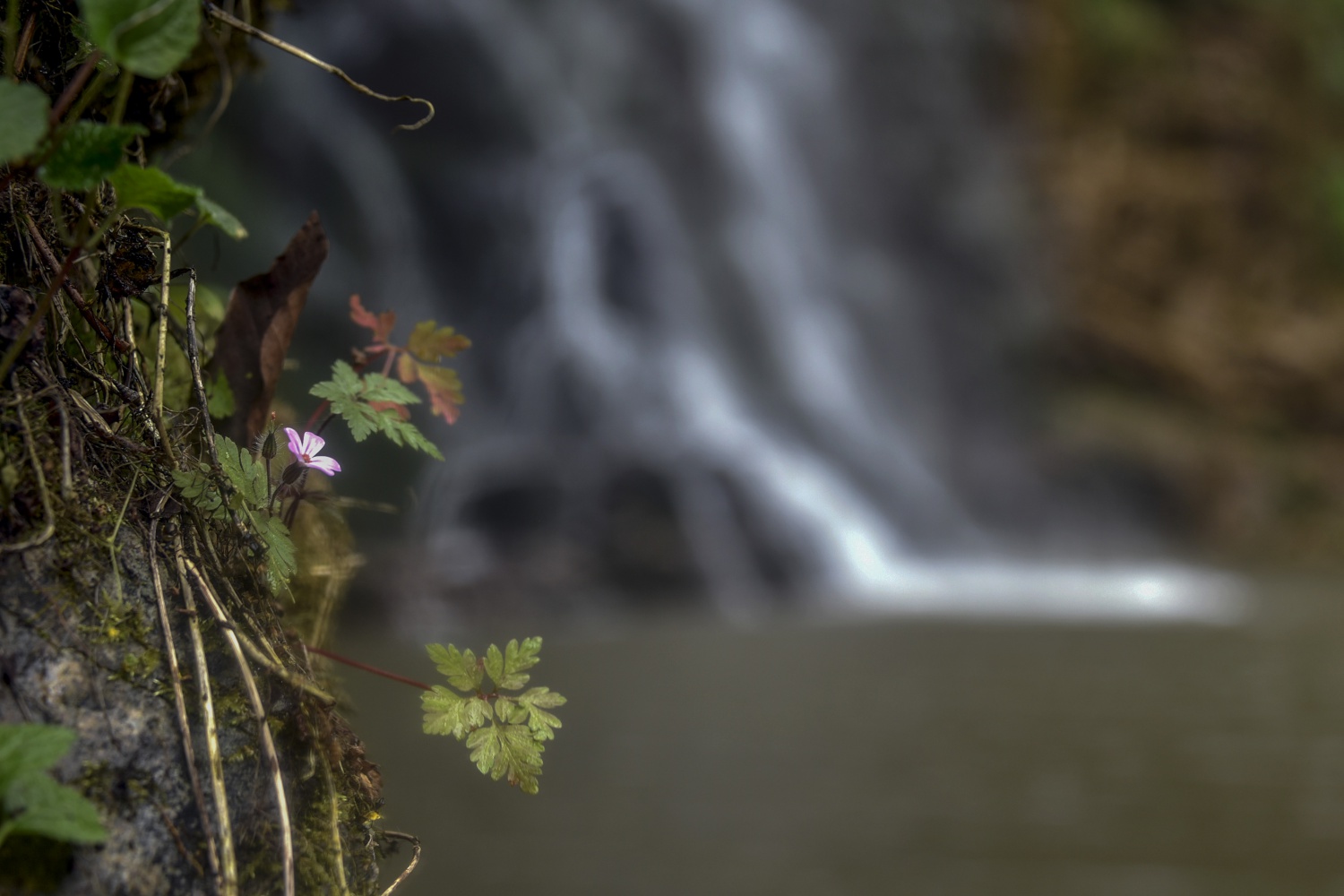 Çağlayandibi Şelalesi ilgi çekiyor 8