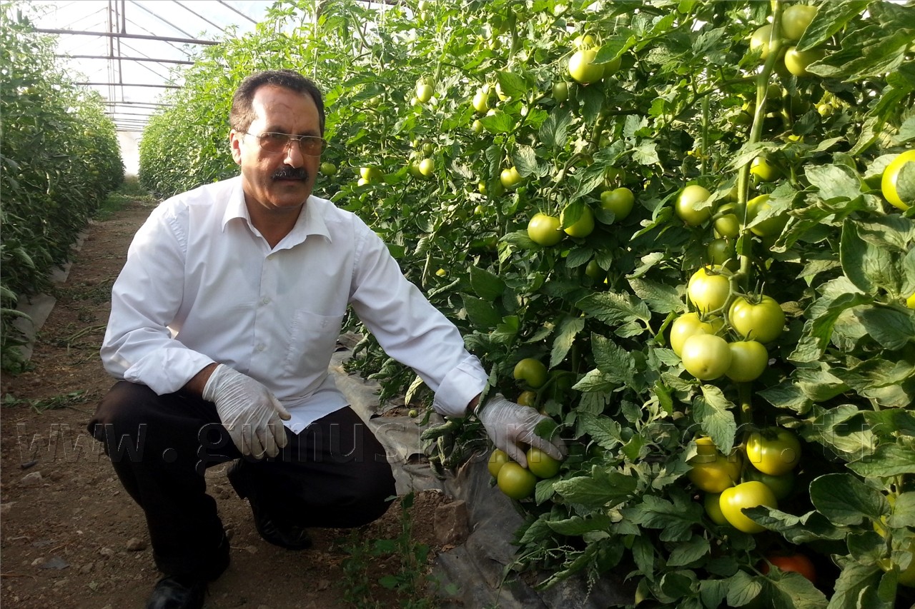  Taşıma Toprakla Sera Yaptılar  8