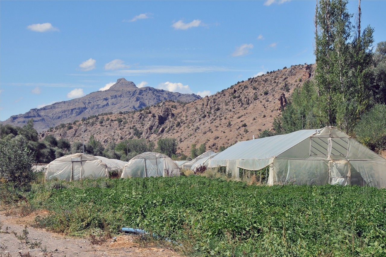  Taşıma Toprakla Sera Yaptılar  5