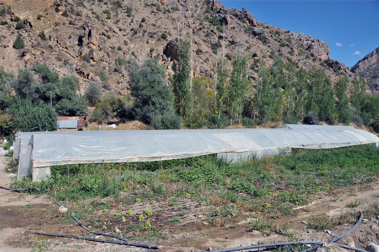  Taşıma Toprakla Sera Yaptılar  6