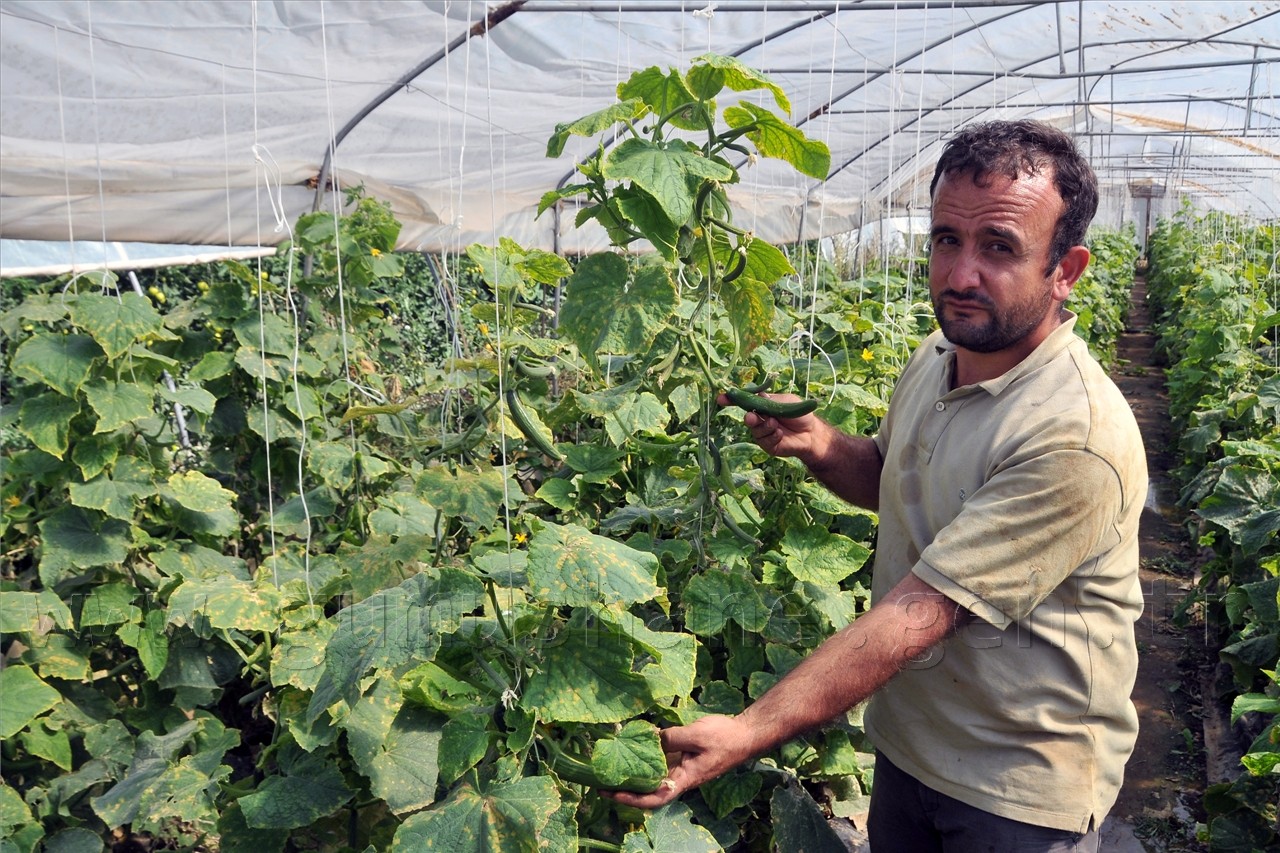  Taşıma Toprakla Sera Yaptılar  4