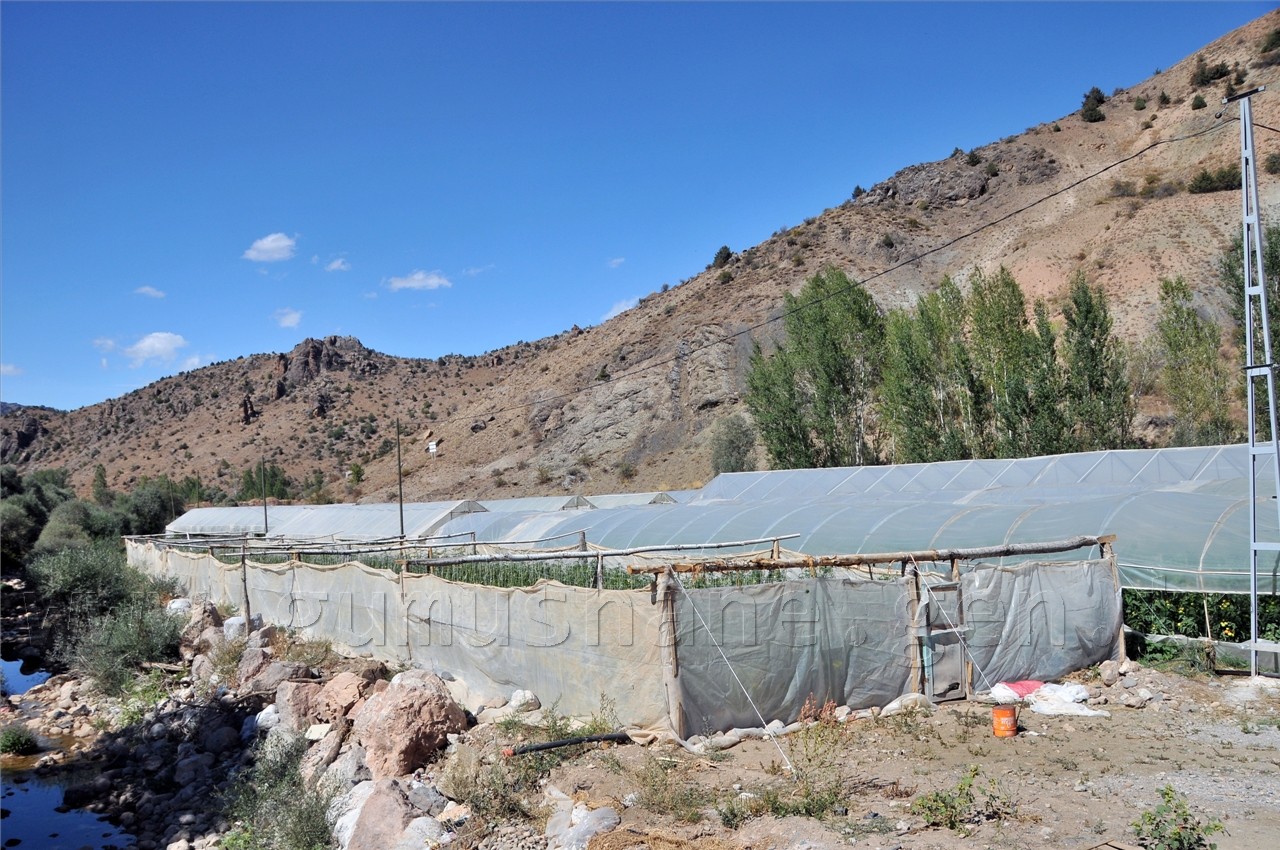  Taşıma Toprakla Sera Yaptılar  3