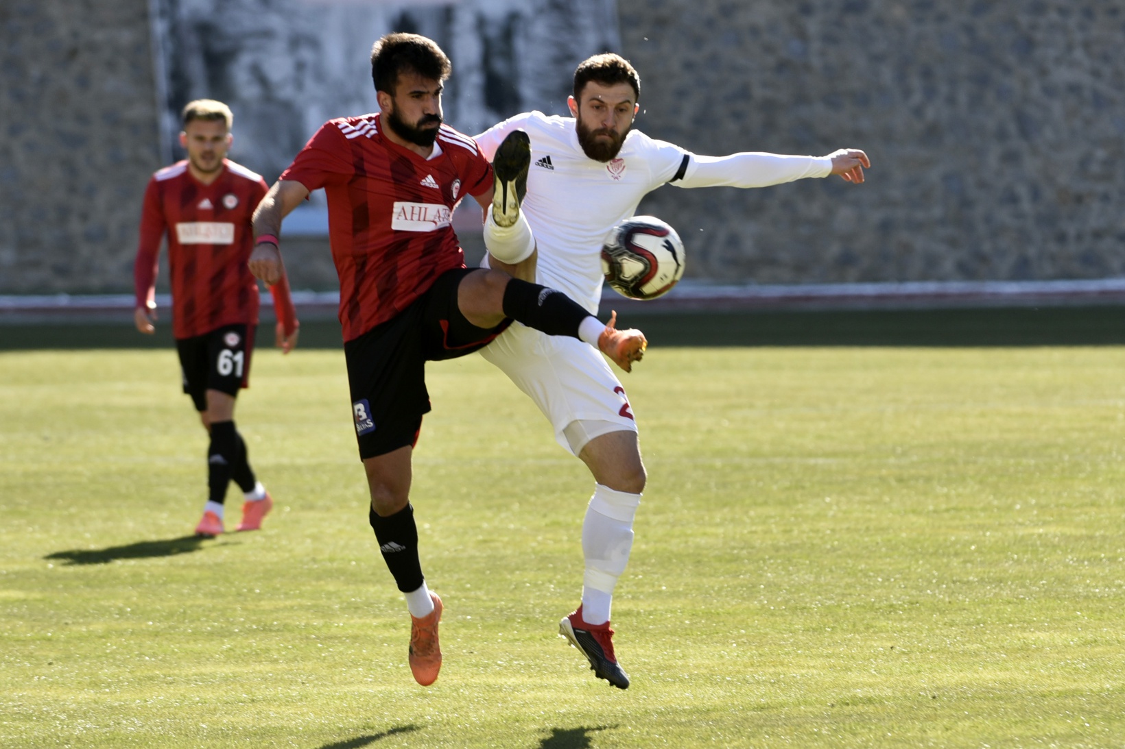 Gümüş perişan: 1-4 6