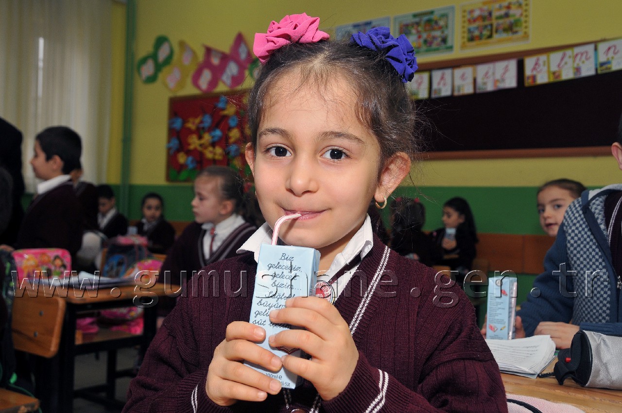 Gümüşhane'de Okul Sütü Dağıtımı Başladı 3