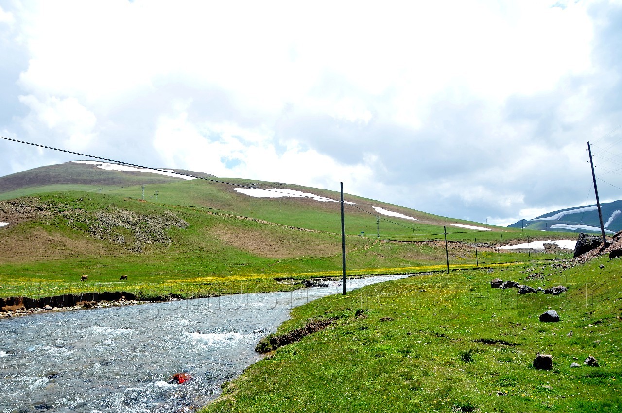 Taşköprü Yaylası Misafirlerini Bekliyor  6