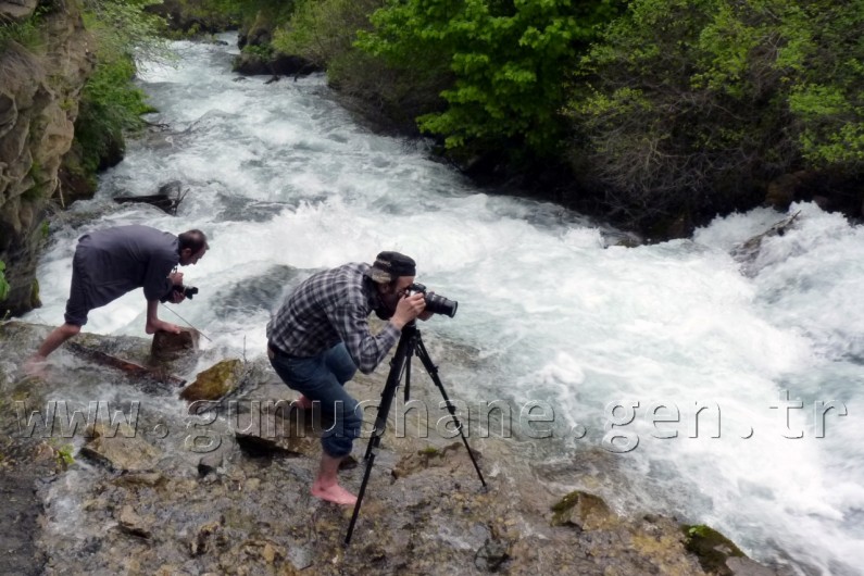 Gizli Cennetin Gür Sesi: Tomara 1