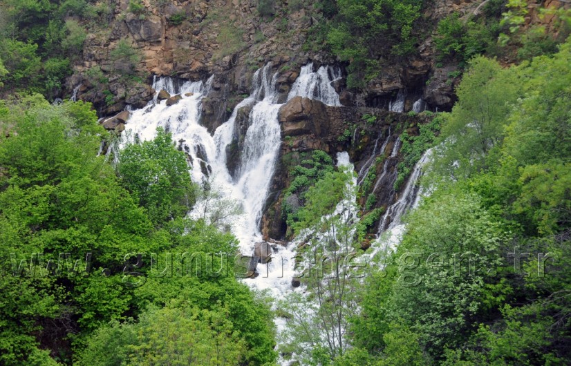 Gizli Cennetin Gür Sesi: Tomara 2