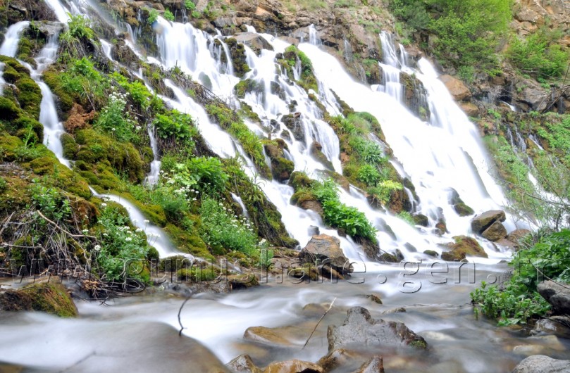 Gizli Cennetin Gür Sesi: Tomara 3