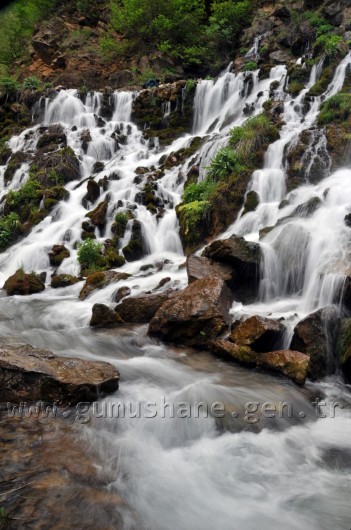 Gizli Cennetin Gür Sesi: Tomara 5