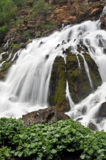 Gizli Cennetin Gür Sesi: Tomara 6