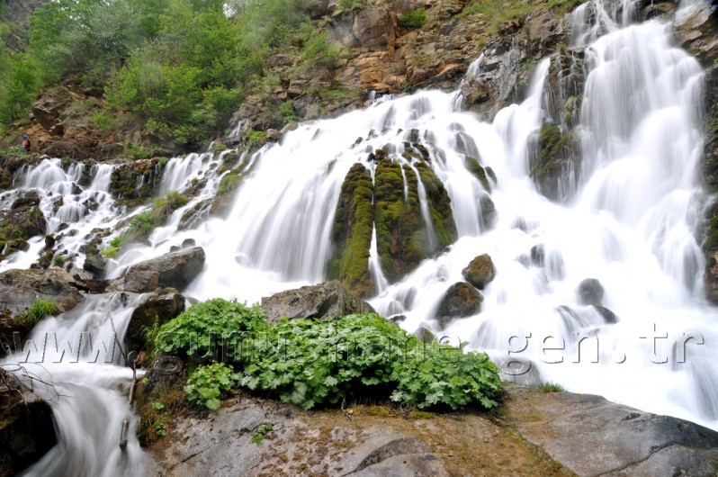 Gizli Cennetin Gür Sesi: Tomara 7