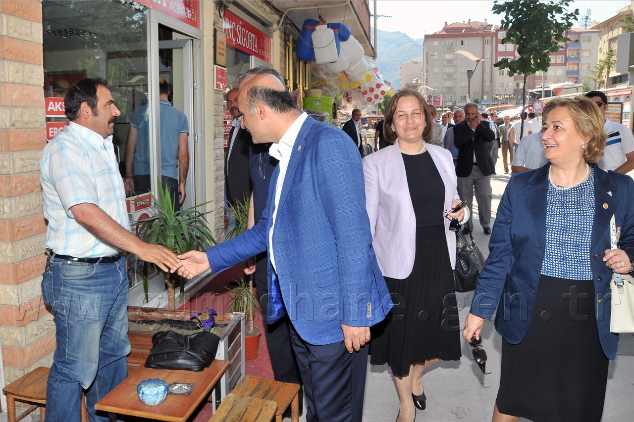 AK Parti Milletvekillerinden Çözüm Süreci Gezisi 3