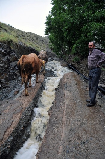 Gümüşhane'yi Etkili Yağış ve Dolu Vurdu   2