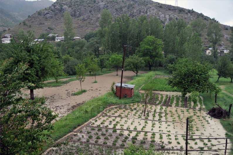 Gümüşhane'yi Etkili Yağış ve Dolu Vurdu   8