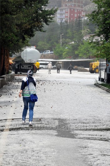 Gümüşhane Yaz Günü Beyaza Büründü 5