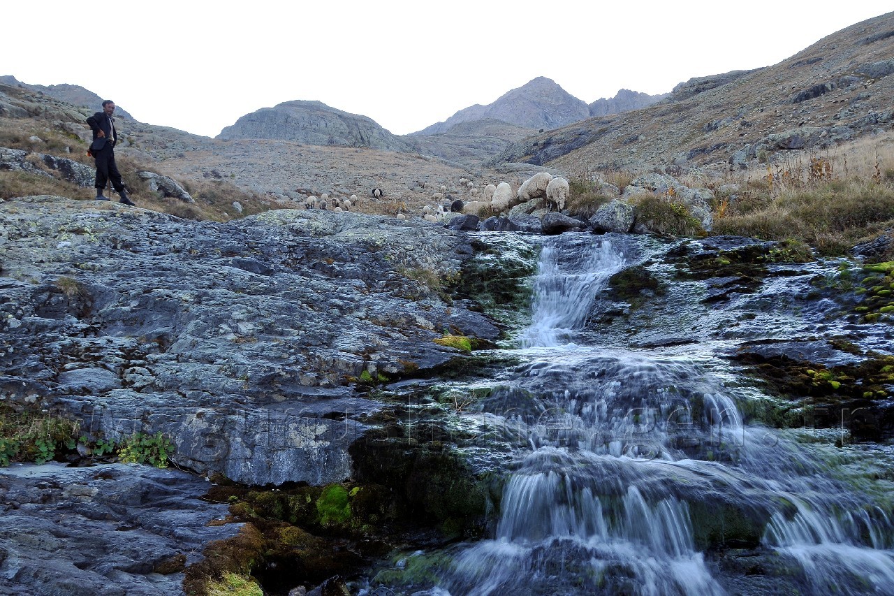 Yaylalar Çocuklarla Güzel 3