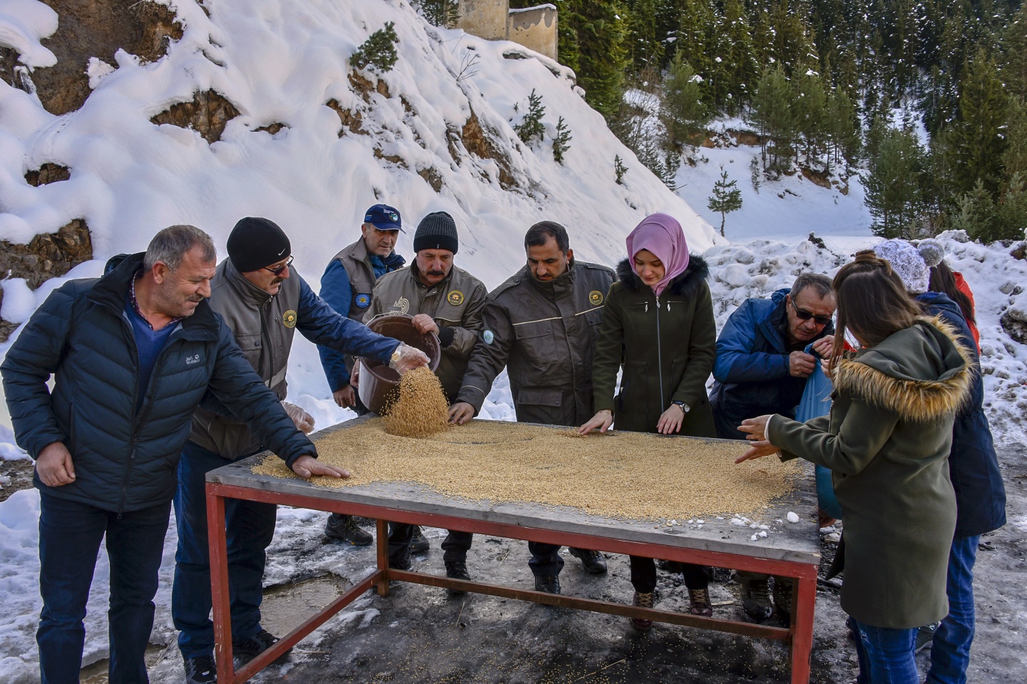 Gümüşhane’de yoğun kış şartlarında yaban hayatı unutulmuyor 10