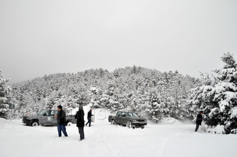 Aşırı Kar Yağışı Yaban Hayatını Da Etkiledi 6