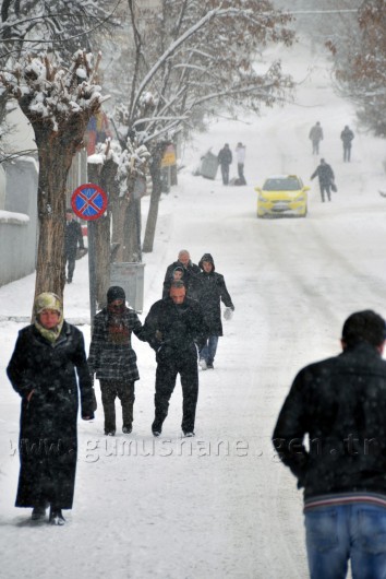 Gümüşhane'de Kar: 120 Köy Yolu Ulaşıma Kapandı 1