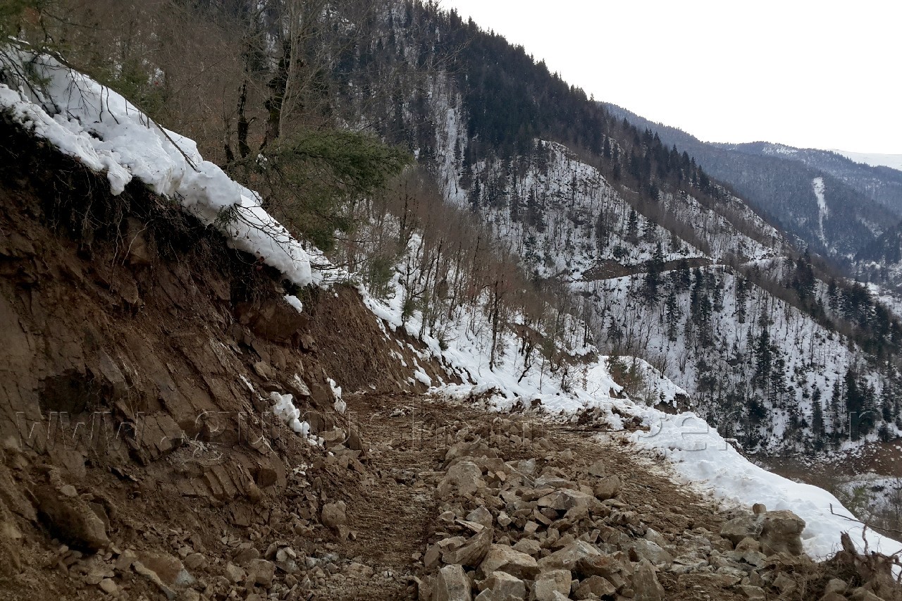 Örümcek ormanlarına yeni yol yapılıyor 4