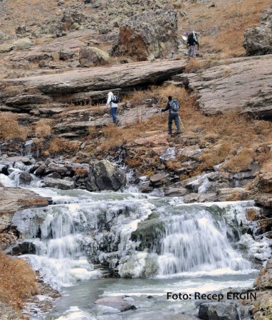 Cumhuriyet Yürüyüşü, Artabel'e 1