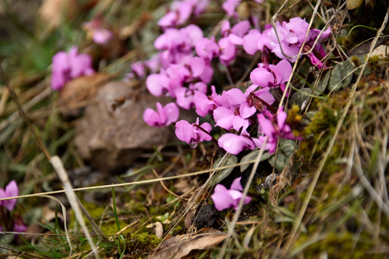 Kadınlar günü için zorlu yürüyüş 10