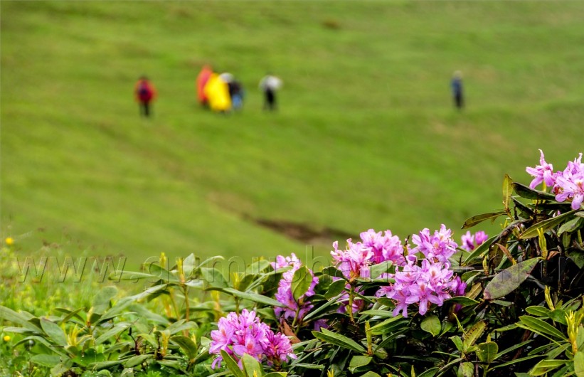 Gümüşhaneli Dağcılar, Bulutların Üzerinde 7