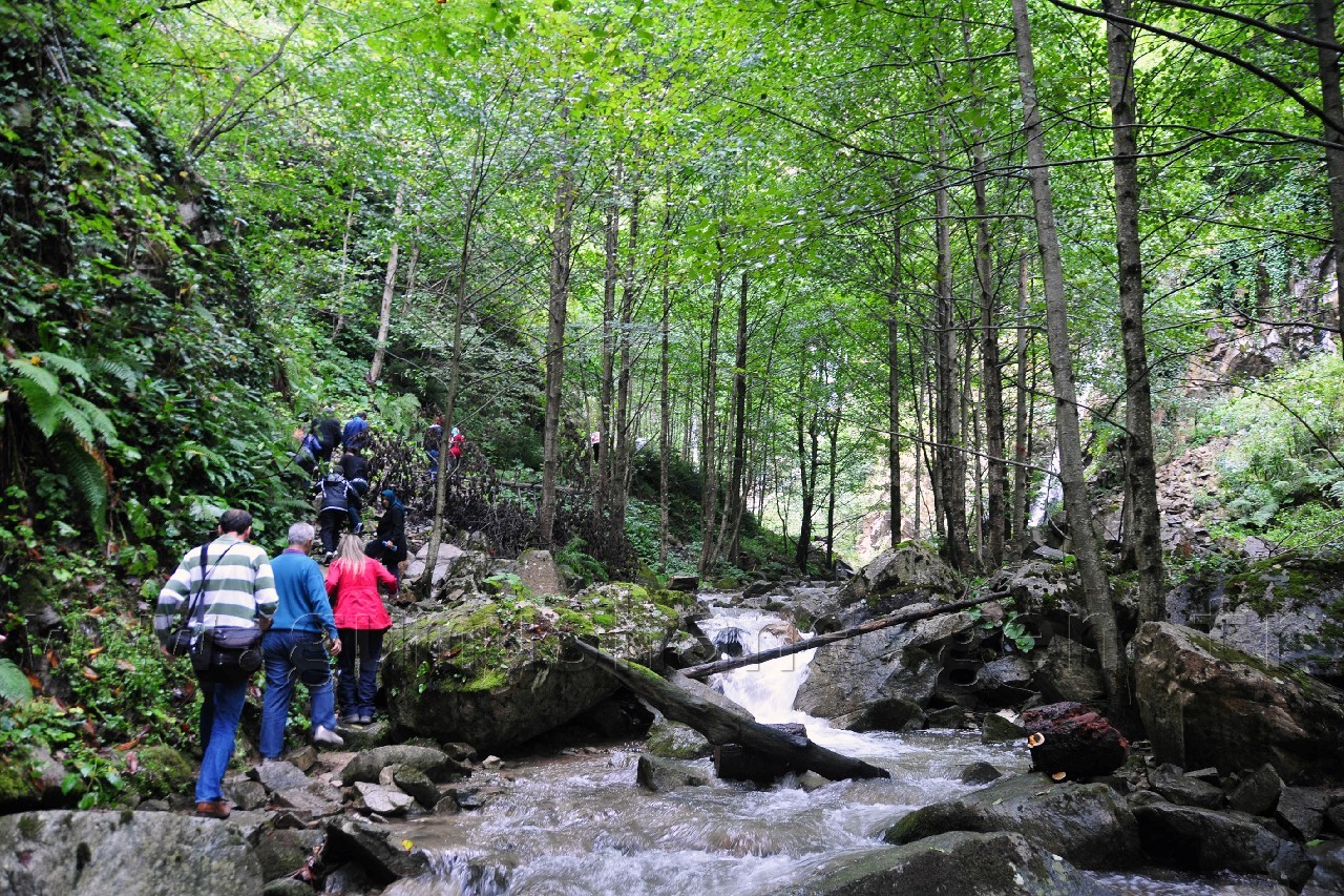 Gümüşhaneli Dağcılar Örümcek Ormanlarında Yürüdü 1