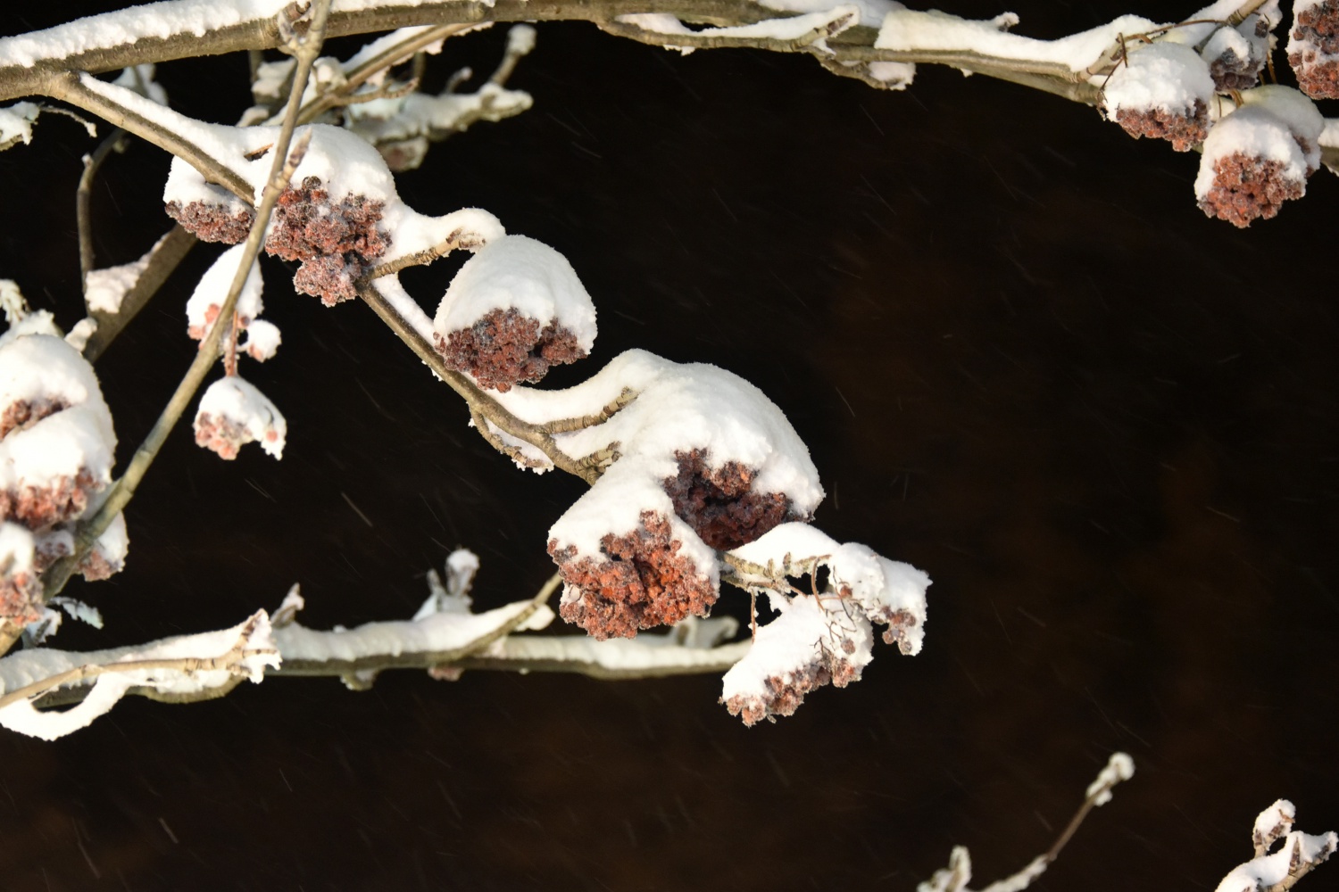 Kar yağışı Zigana dağı geçidinde ulaşımı aksattı 4