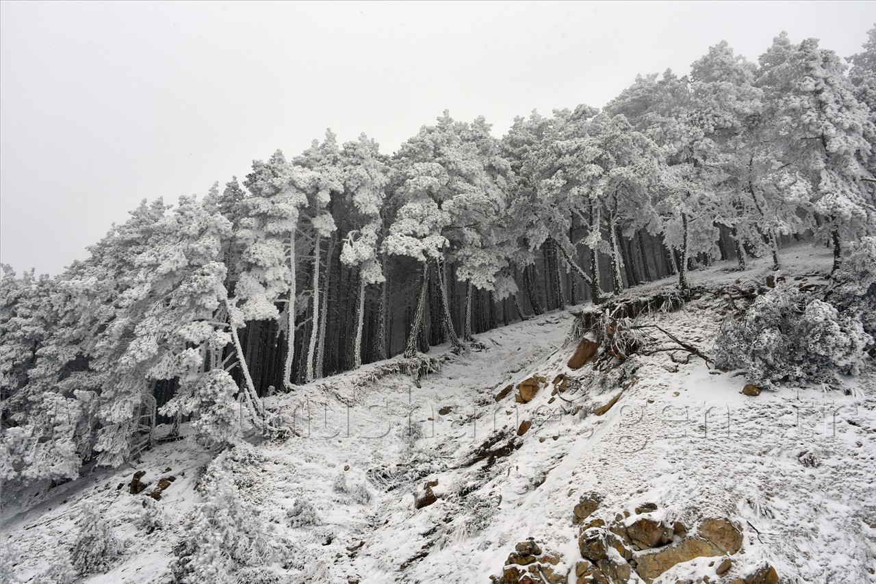 Zigana Nisan Ayında Buz’dan Örtüsünü Giydi 17