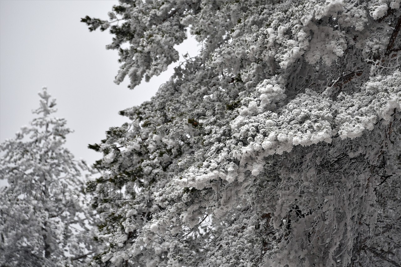 Zigana Nisan Ayında Buz’dan Örtüsünü Giydi 4