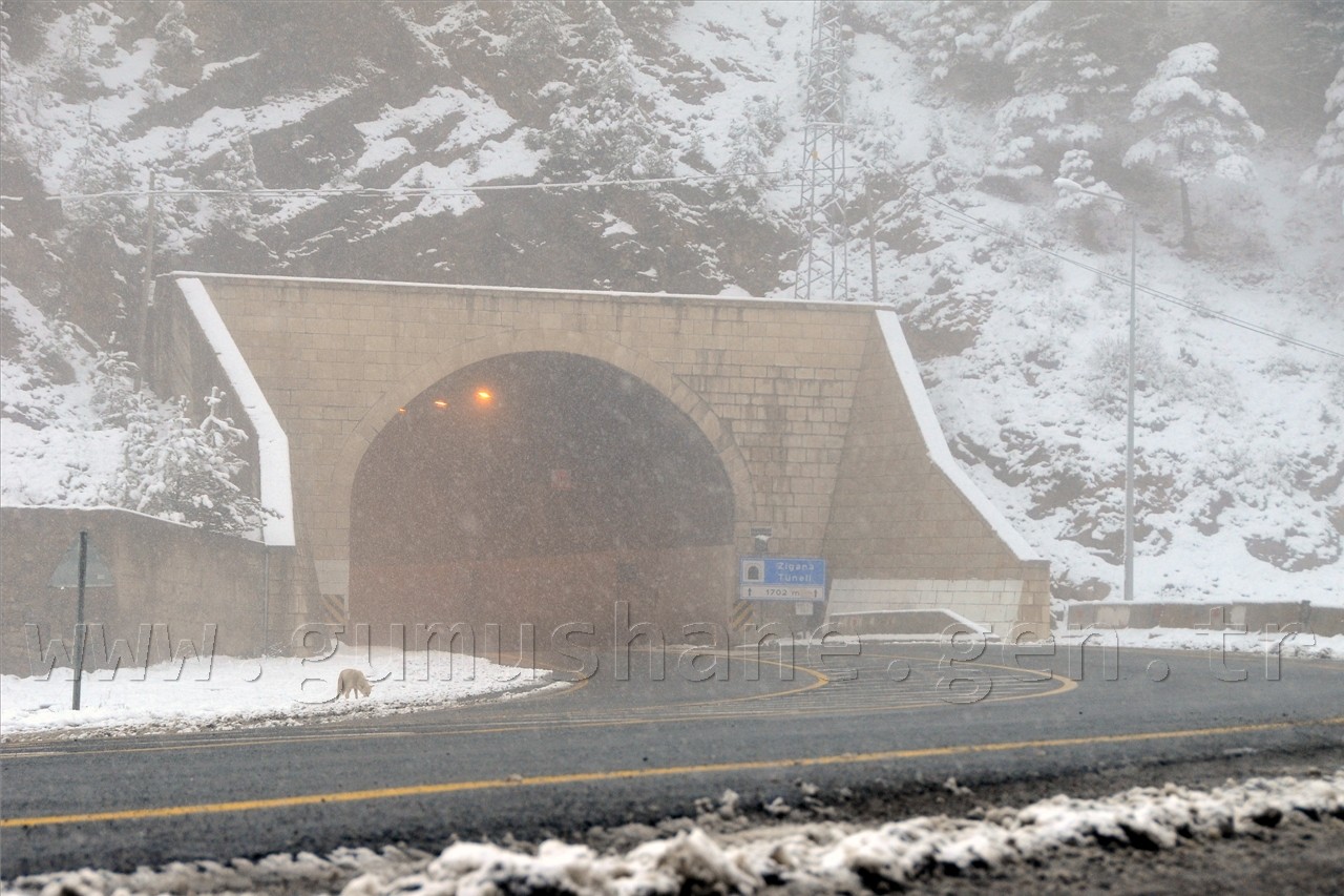 Zigana Dağında Kar Sürprizi 26