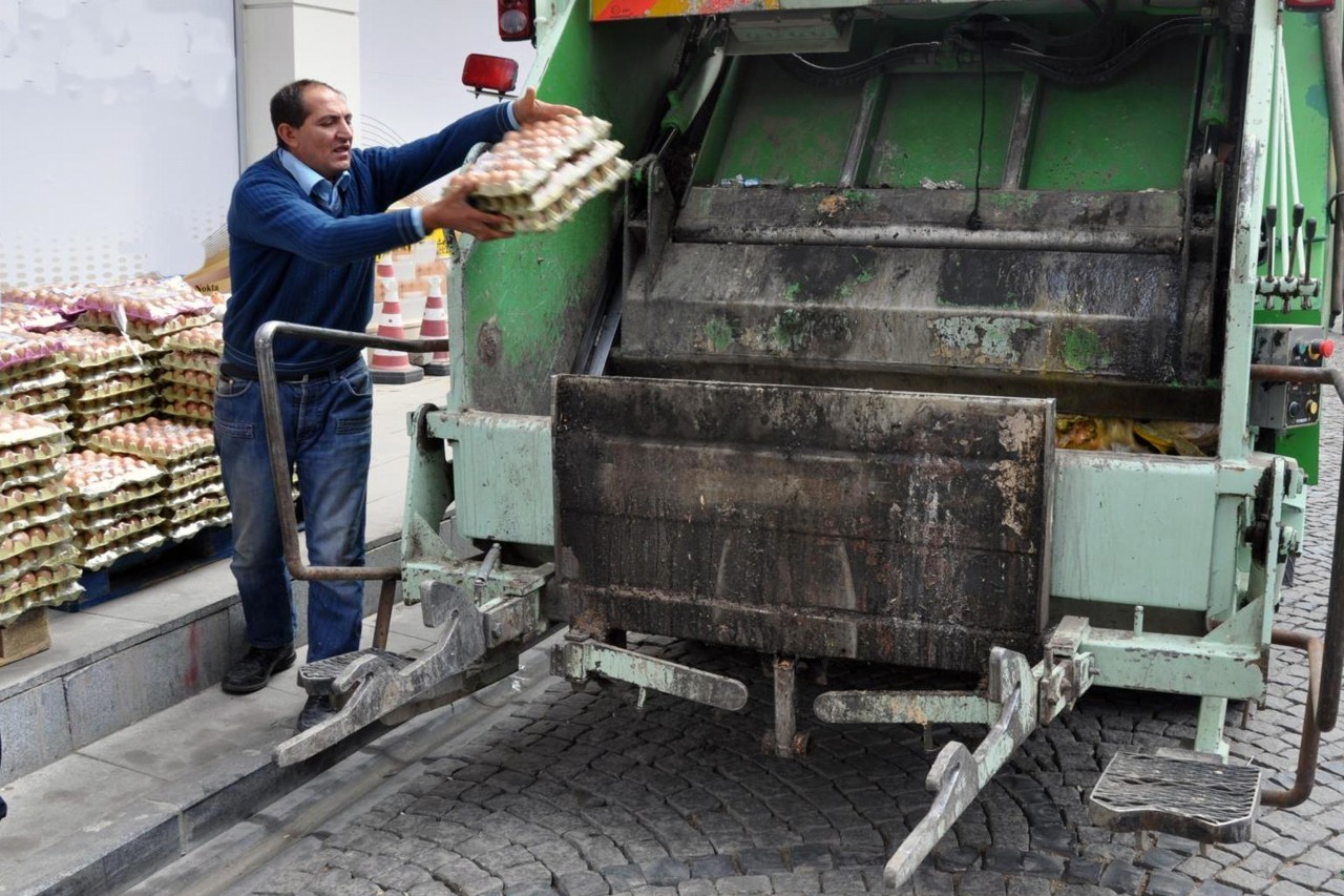 Gümüşhane'de 10 Bin Yumurta İmha Edildi 1