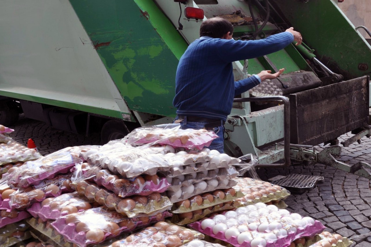 Gümüşhane'de 10 Bin Yumurta İmha Edildi 2