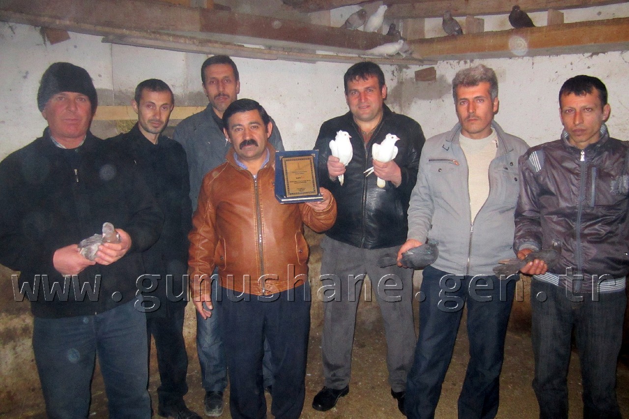 Şiran'da Güvercin Aşkı Birincilik Getirdi 2