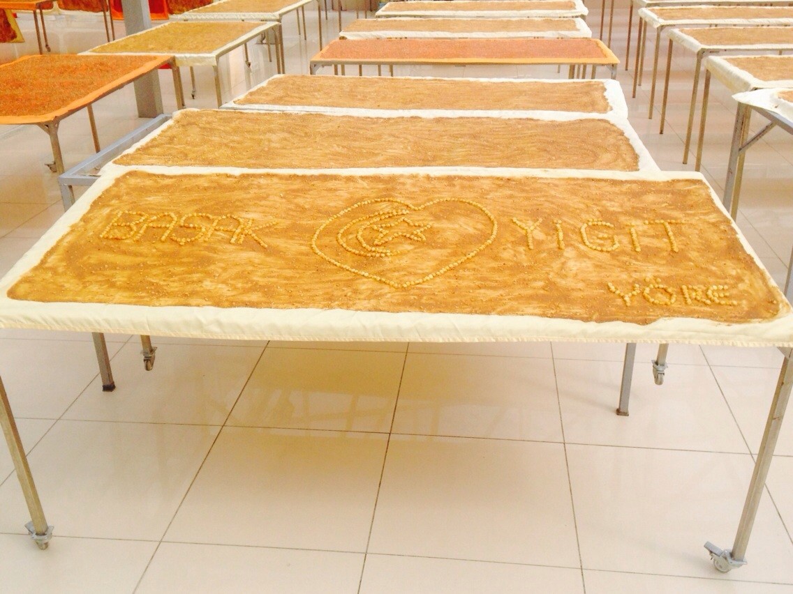 Böyle olur Gümüşhanelinin düğün hediyesi 1