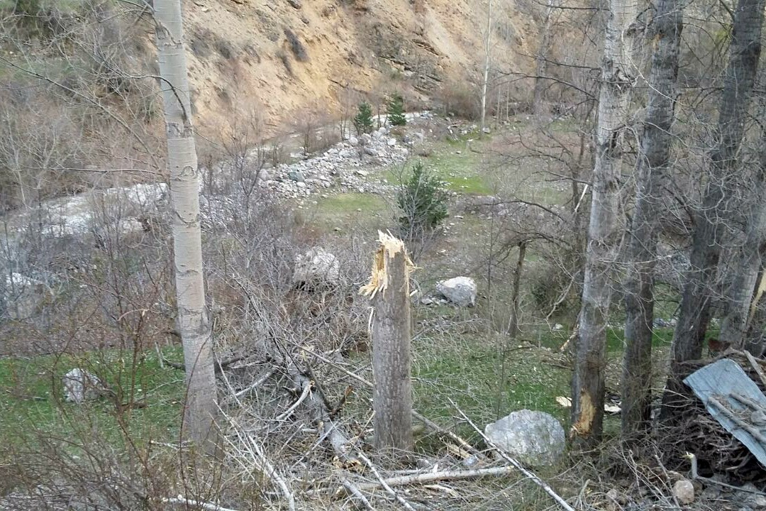 İkisu-Yağlıdere-Olucak grup yolunda heyelan 28