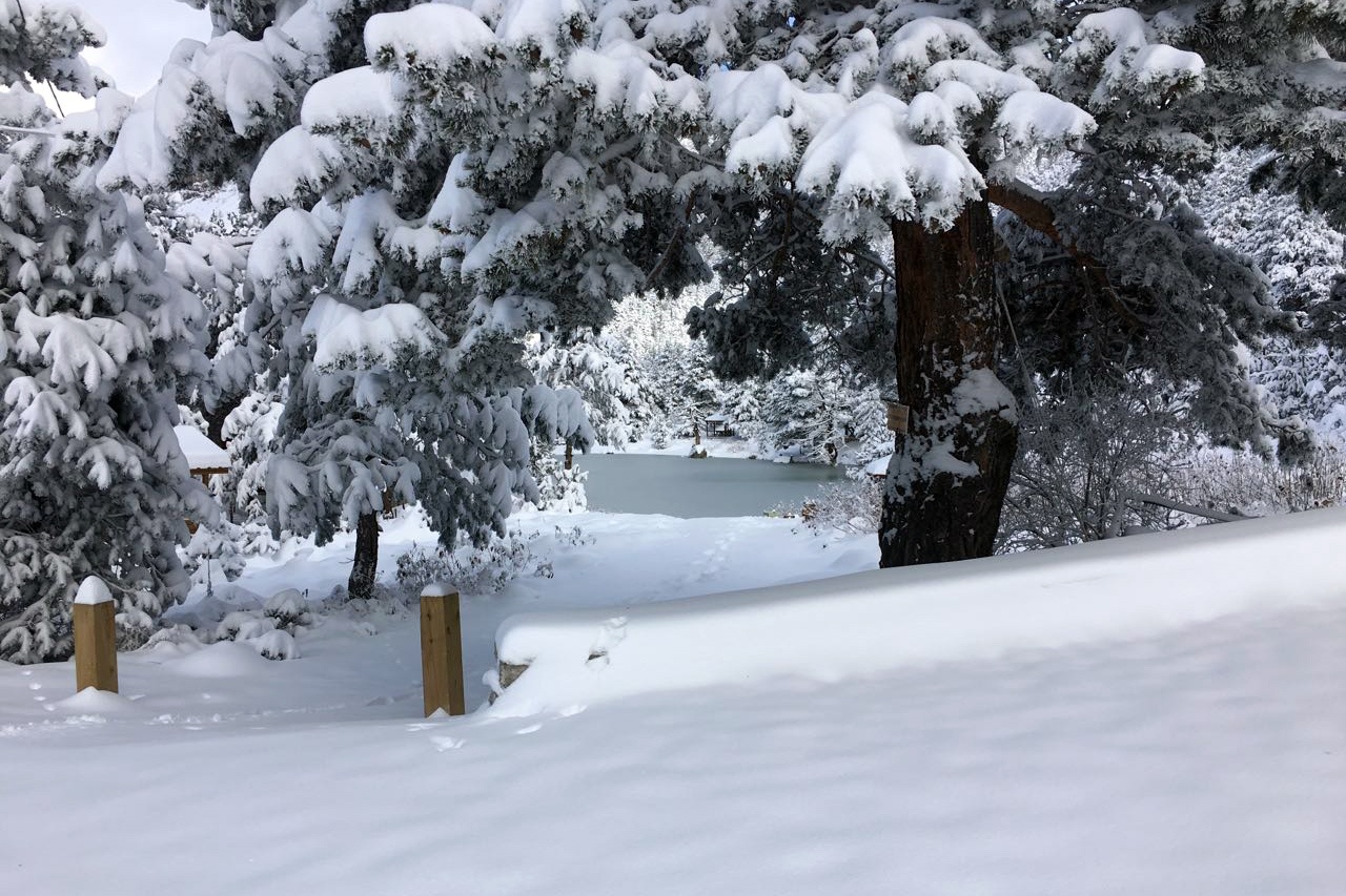 Limni Gölü beyaz cennete döndü 4