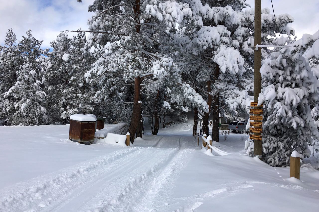 Limni Gölü beyaz cennete döndü 9