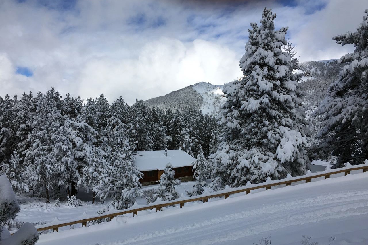 Limni Gölü beyaz cennete döndü 11