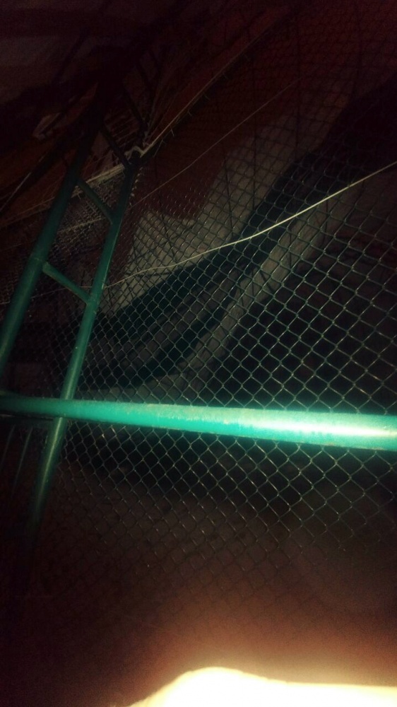 Şiran’da halı saha çöktü: 4 yaralı 8