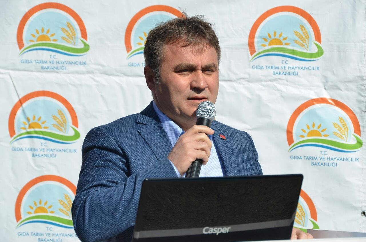 Gümüşhane’de 50 bin ceviz fidanının dağıtımına başlandı 13