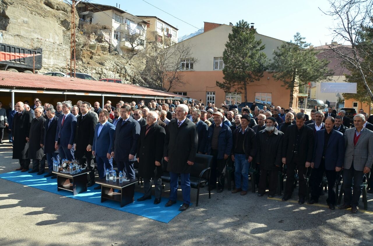 Gümüşhane’de 50 bin ceviz fidanının dağıtımına başlandı 8