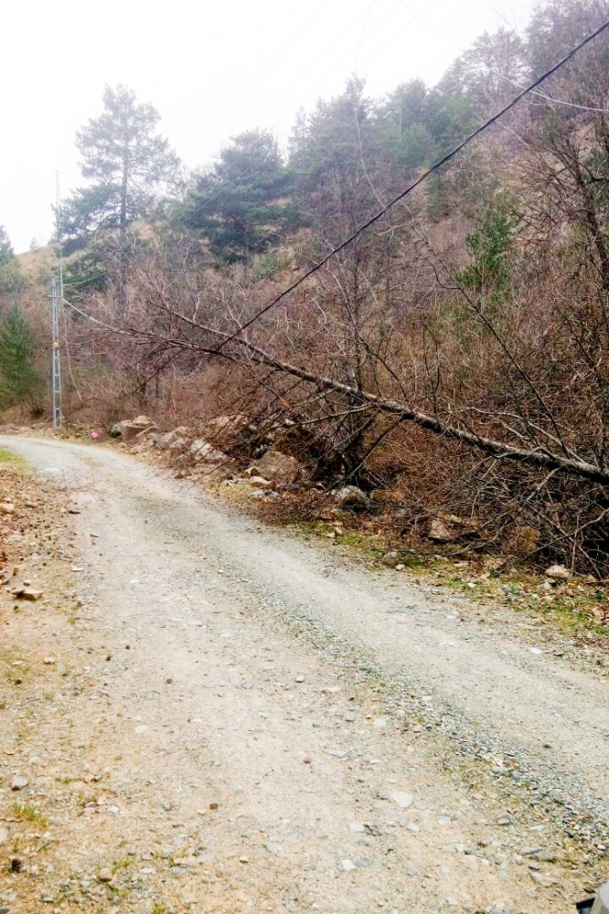 Gümüşhane’de rüzgar elektrik direklerini kağıt gibi ezdi 6
