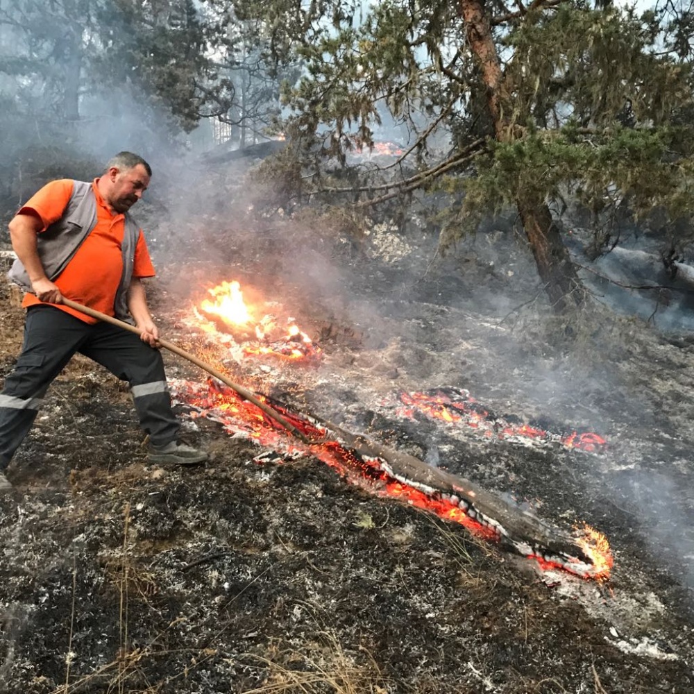 Gümüşhane’deki yangın kontrol altına alındı 4
