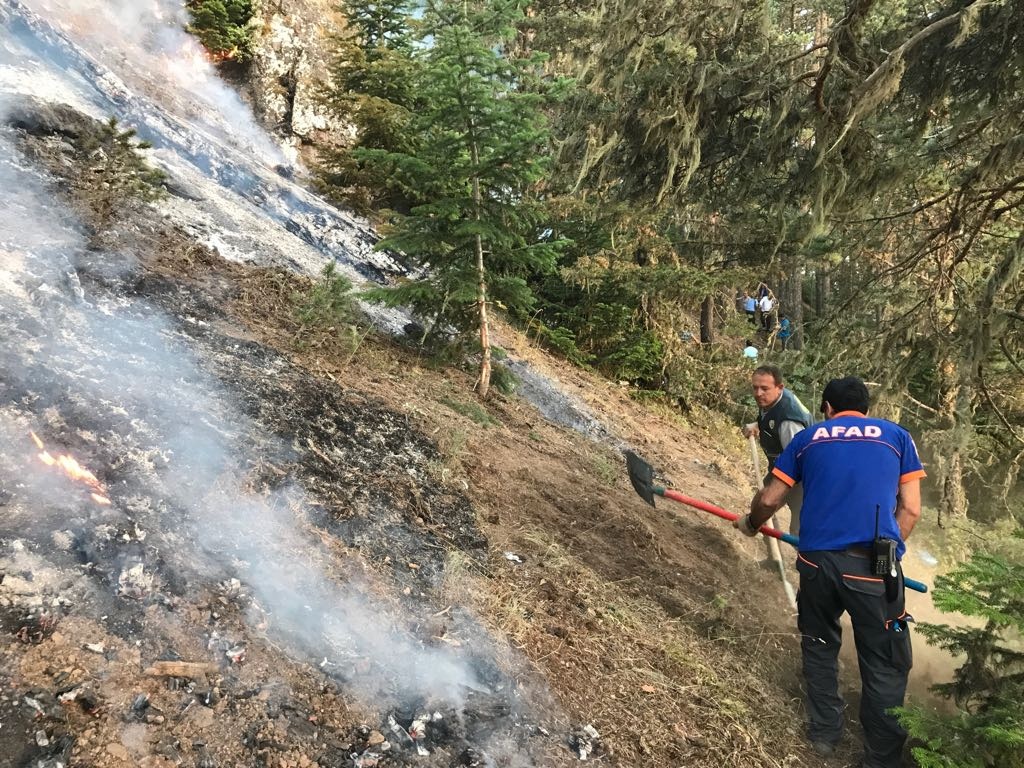 Gümüşhane’deki yangın kontrol altına alındı 6
