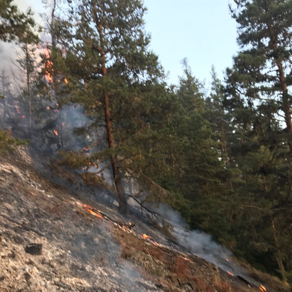 Gümüşhane’deki yangın kontrol altına alındı 5