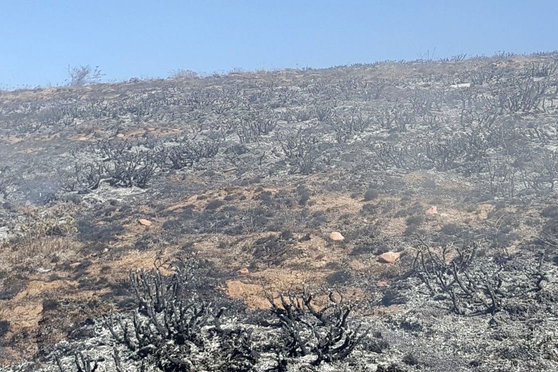 Gümüşhane’de örtü yangını 9