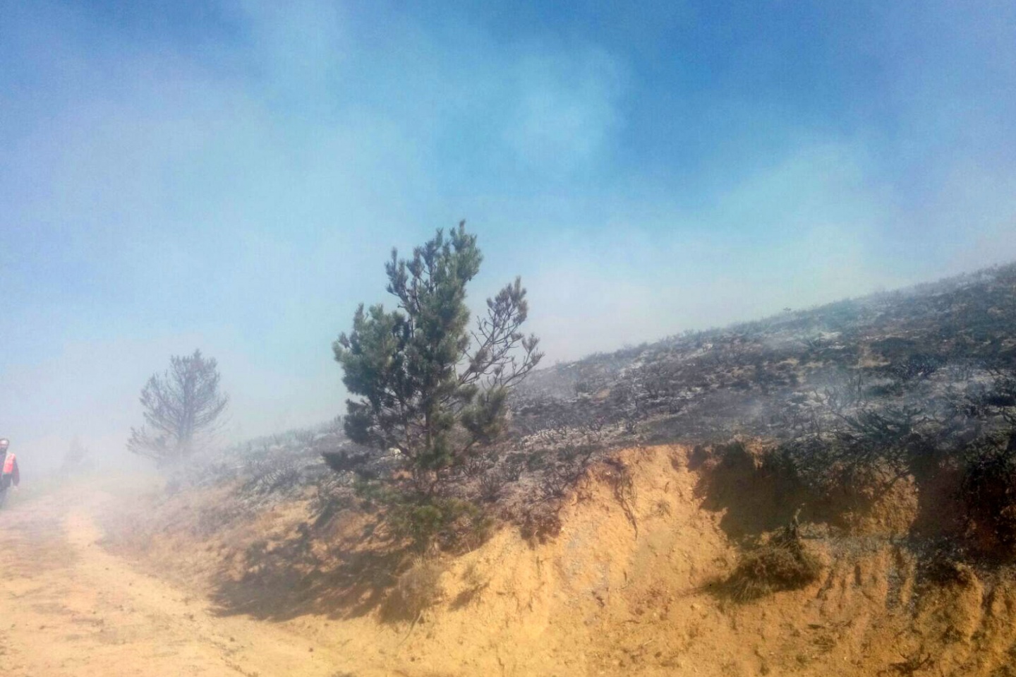 Gümüşhane’de örtü yangını 2